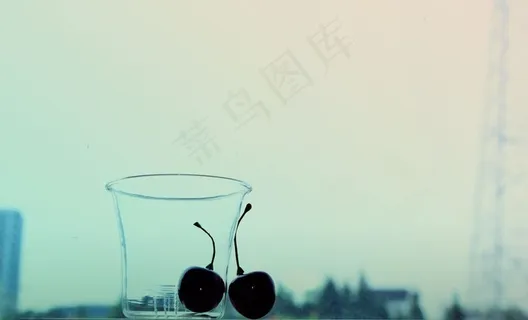 单层玻璃杯图片