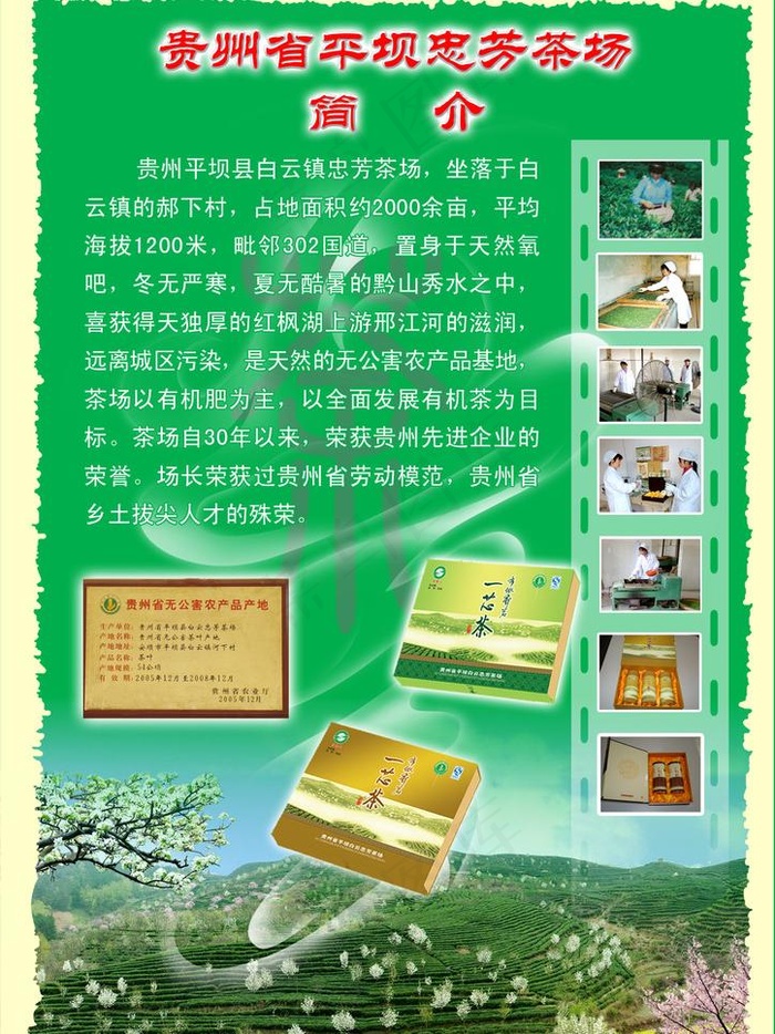 茶传单图片psd模版下载