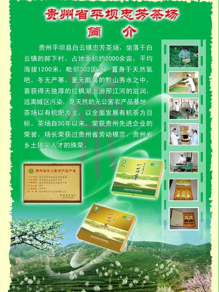 茶传单图片psd模版下载