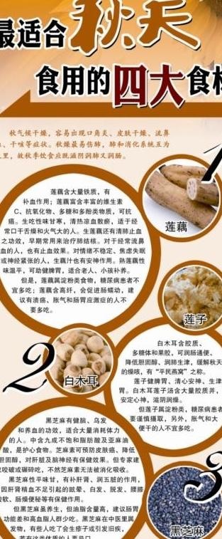 秋天食物杂志设计宣传页图片