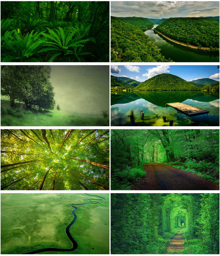绿色森林背景图(3000X3500(DPI:508))psd模版下载