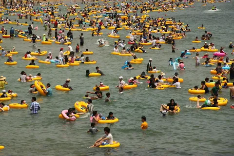 夏季海滩游泳热闹场景图片