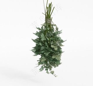 蔬菜模型 3d模型图片