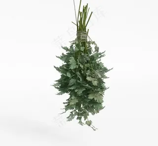 蔬菜模型 3d模型图片