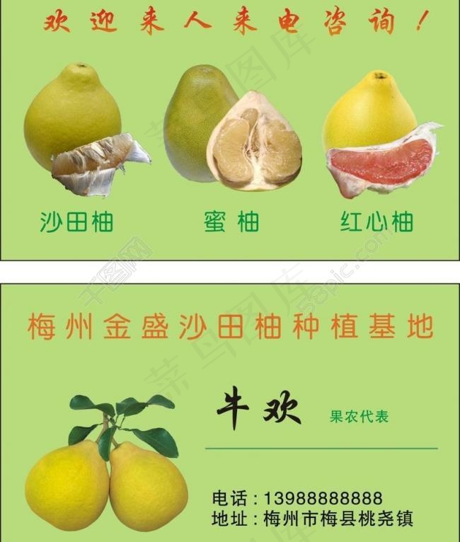 名片图片cdr矢量模版下载