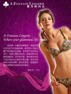 彩页会刊广告图片