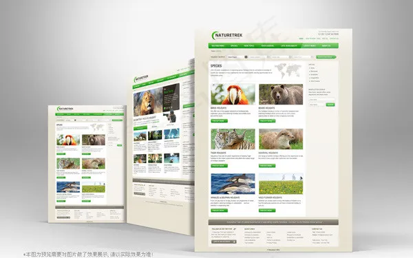 旅游类网站模板psd素材psd模版下载