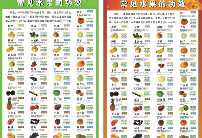 水果功效与简介图片cdr矢量模版下载