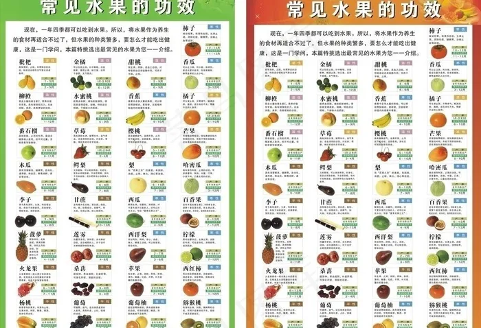 水果功效与简介图片cdr矢量模版下载