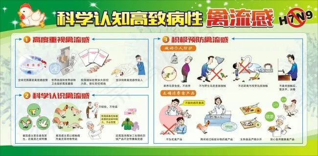 认知H7N9禽流感病毒cdr矢量模版下载