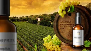 葡萄酒风格庄园宣传海报