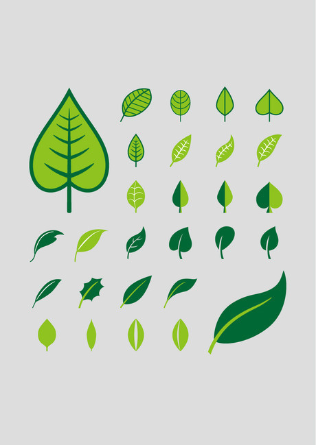 清新彩绘树叶矢量素材.