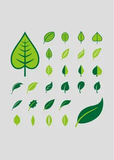 清新彩绘树叶矢量素材.
