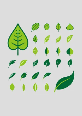 清新彩绘树叶矢量素材.