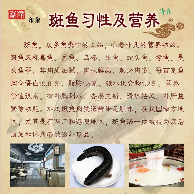 斑鱼 斑鱼习性及营养 鱼 淡水鱼 ...(4921X4921(DPI:100))psd模版下载