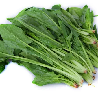 菠菜 菠菜