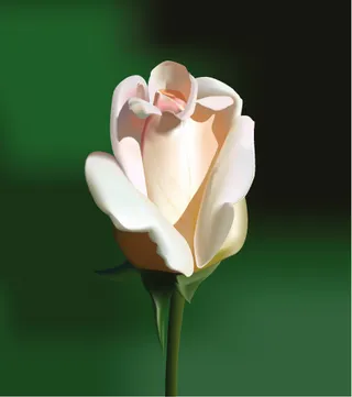 花的真实感绘制矢量素材