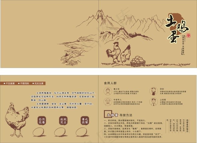 土鸡蛋两折页cdr矢量模版下载
