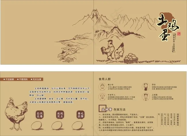 土鸡蛋两折页cdr矢量模版下载