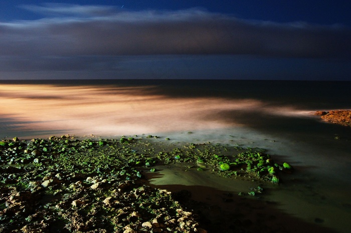 海边夜色图片