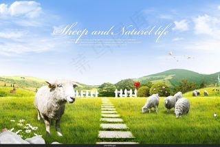 韩国高清素材栅栏