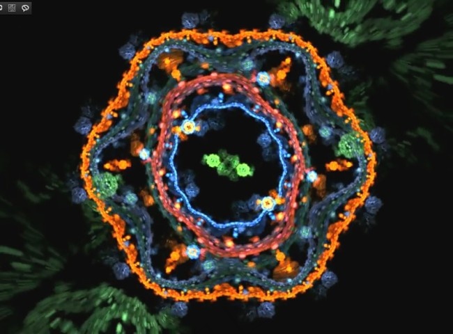 动态视频背景素材下载