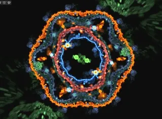 动态视频背景素材下载