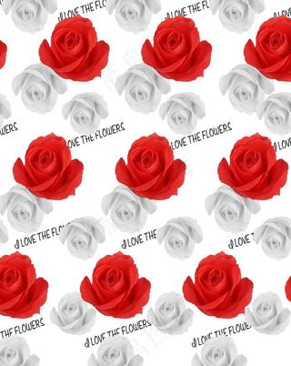 浪漫玫瑰之约图片