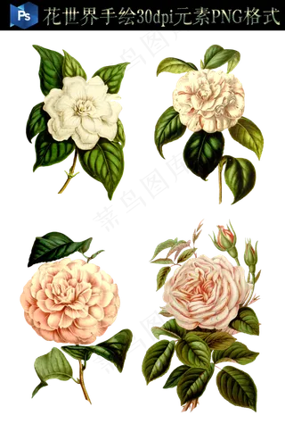 唯美复古高青花卉PNG免扣图集