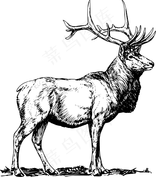 麋鹿剪贴画
