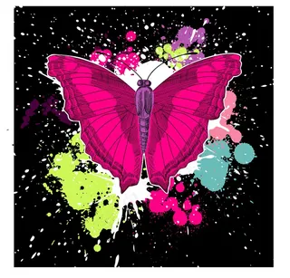 在黑色的背景上美丽的蝴蝶