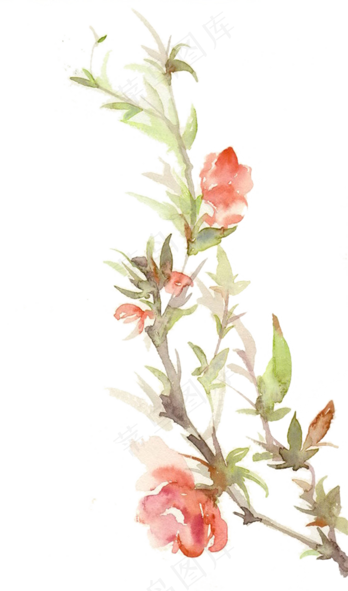 140款浪漫粉红色桃花花朵图片PN...(1638X1397)