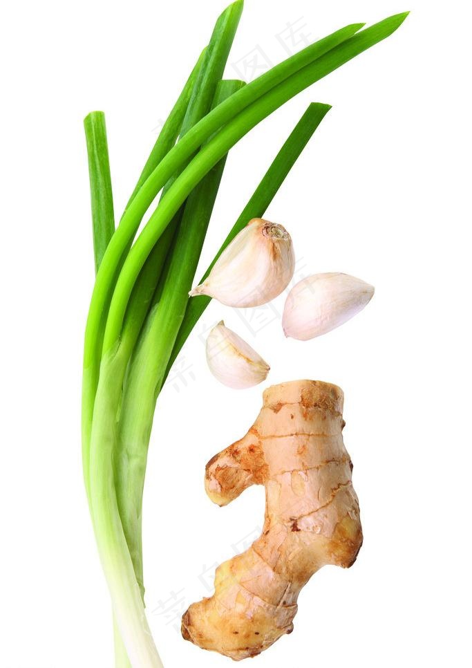 葱姜蒜图片