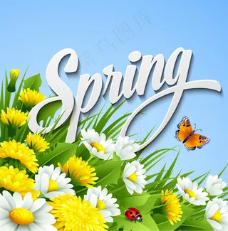 美丽春天雏菊花丛矢量素材