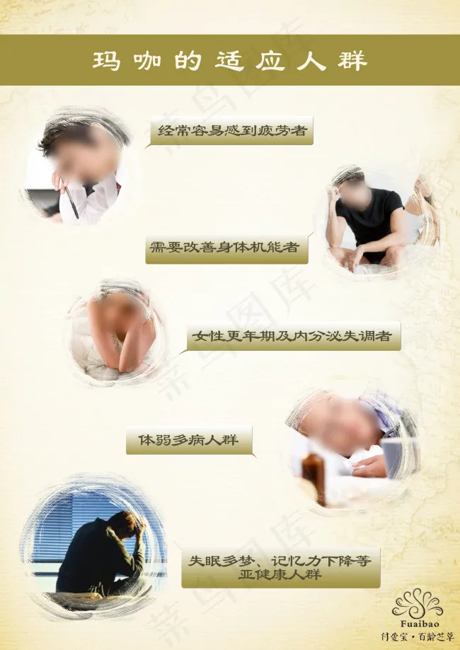 玛咖的适用人群(2480X3508(DPI:300))psd模版下载