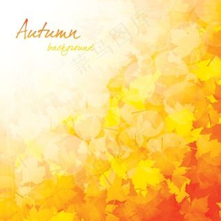 黄色背景矢量图