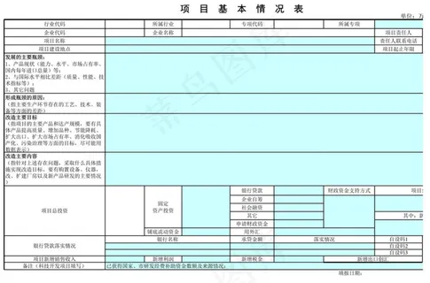 项目基本情况表