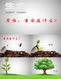 生命教育ppt模板