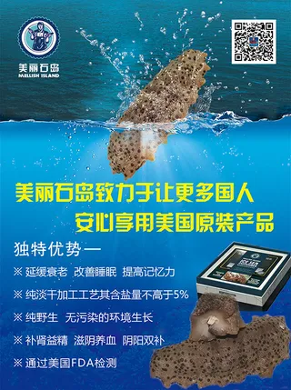 海参海报