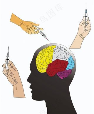 人脑大脑结构设计图片