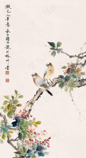 花鸟国画图片