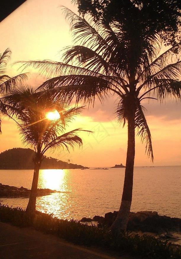 海边夕阳椰树图片