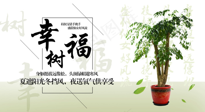 绿植海报psd模版下载