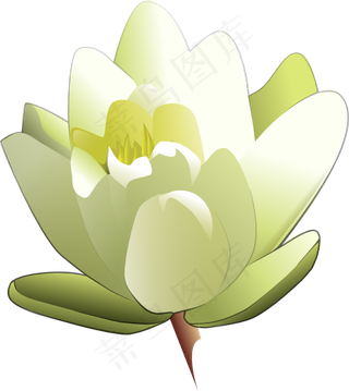 利兰探水百合的剪辑艺术