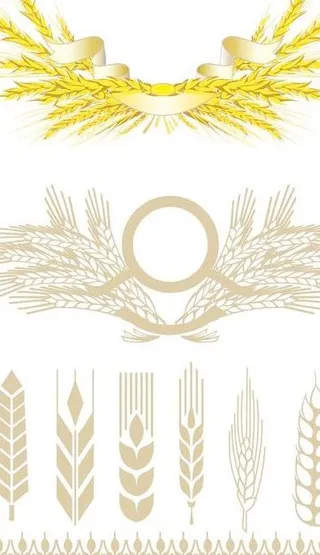 麦穗矢量素材图片