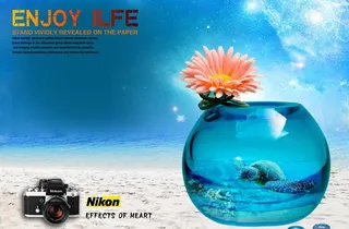 数码dm单设计图片