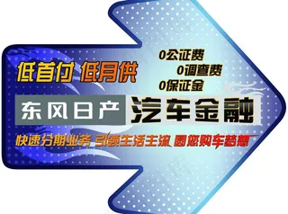 东风日产威泰地贴图片