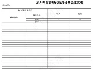 纳入预算管理的*性基金收支表