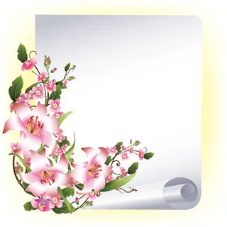 鲜花插图矢量图