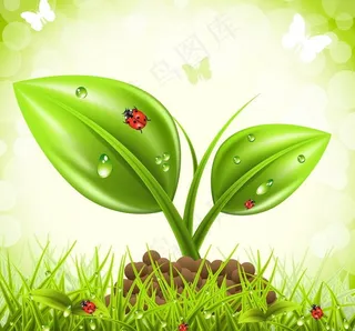 绿色环保背景图片